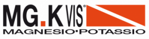 MGK-VIS-Idrosalino_logo